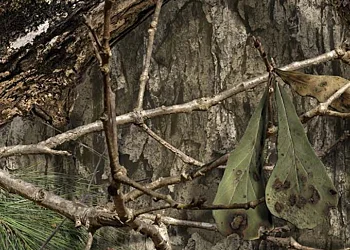 Mossy Oak Country DNA