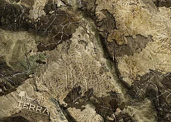 Mossy Oak Elements Terra Bayou