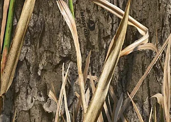 Mossy Oak Shadow Grass Habitat