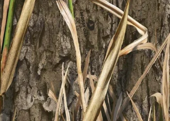 Mossy Oak Shadow Grass Habitat