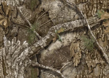 Realtree APX