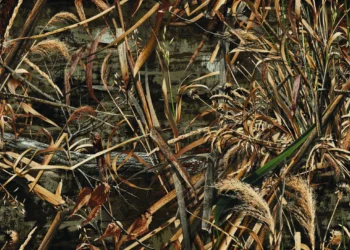 Realtree MAX-5
