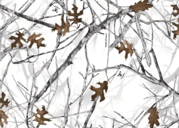 Conceal-Snow
