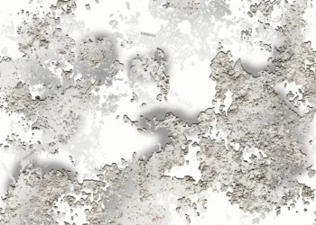 Tundra