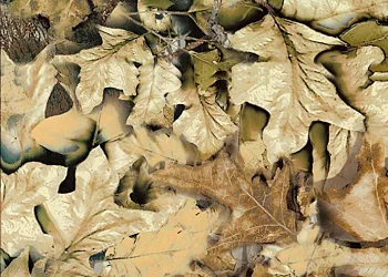 209-Spring Leaf