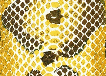 260 Snakeskin Illusion-Fall Copper