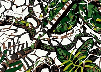 290 Brush Country Camo