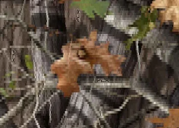 381 Next Camo-FLX