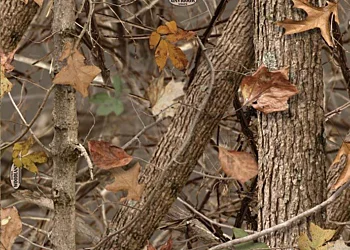 428_Kings_Woodland_Shadow