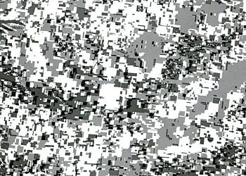 460 Tiger Stripe Digital Snow