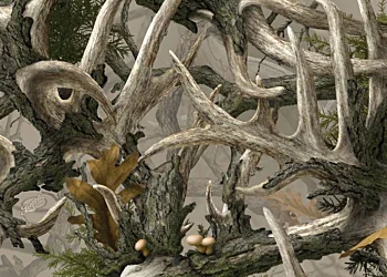 540 Boneyard-Legends Camo