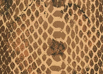 780 Winter Brown