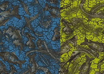 834 DK’d Aquatic