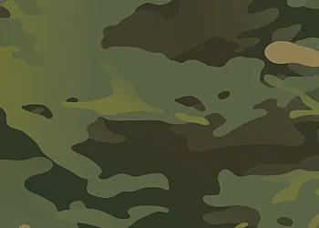 849-MultiCam-Tropic
