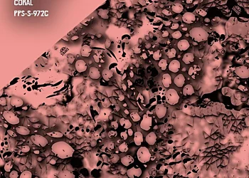 973-Sirphis-Pulse-Coral-Reduced