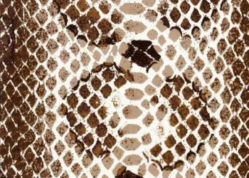 235 Snakeskin Illusion All Season Brown