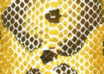 260 Snakeskin Illusion-Fall Copper