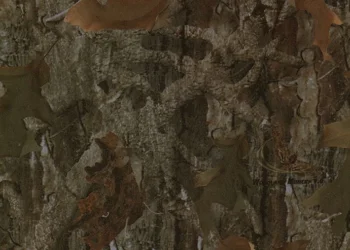 264 Mothwing-Woodland Mimicry