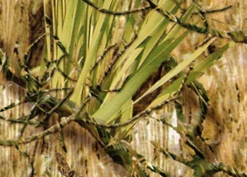 265 Mothwing-Marsh Mimicry