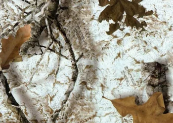 266 Mothwing-Winter Mimicry