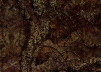 267 Mothwing-Canyon Mimicry