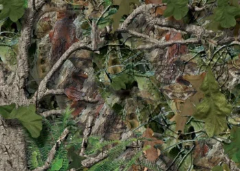 268 Mothwing-Spring Mimicry