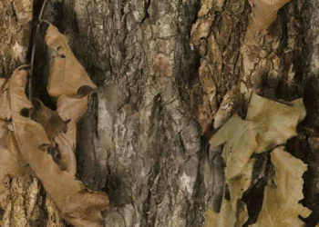 277 Prairie Ghost-North Woods