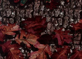 410 Outfitter Tuff Camo