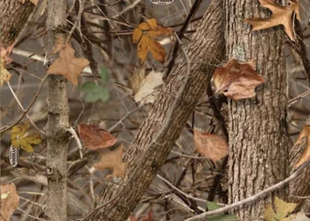 428_Kings_Woodland_Shadow