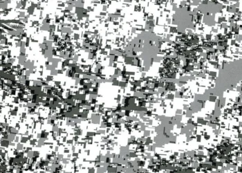 460 Tiger Stripe Digital Snow