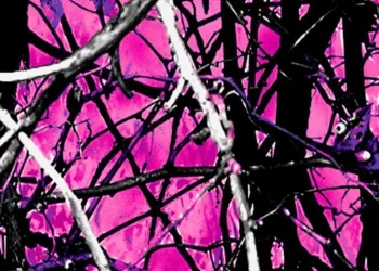 529 Muddy Girl Camouflage