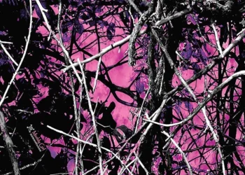 775 Muddy Girl Reduced