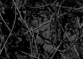 920 Harvest Moon Reduced