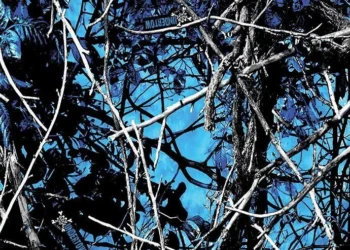 922 Undertow Reduced