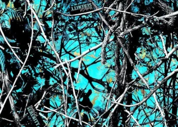 923 Muddy Girl Serenity Reduced