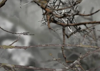 937 GO Wild Rock-Star