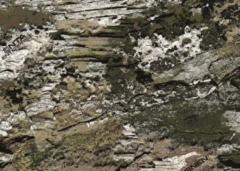 999-Huntworth-Tarnen