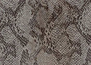 134 Snakeskin Black