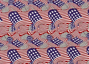 167 American Flag-Newsprint