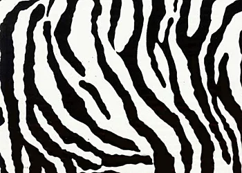 519 Zebra-Small