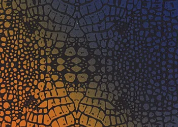 564-Reptile-Blue-Orange