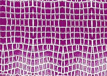 718-Fuchsia-Crocodile