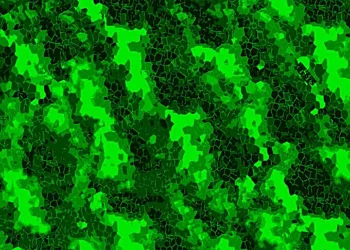 960-Defected-Green