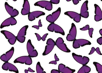 576 Butterfly
