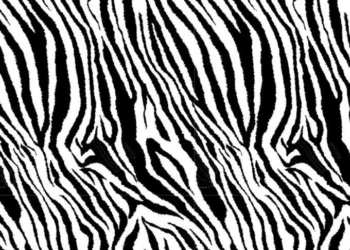 629 Zebra Mini
