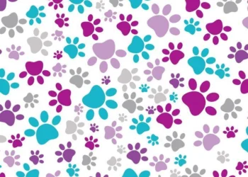 840 Paw Prints-Purple