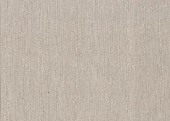 361 Brushed Aluminum
