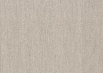 361 Brushed Aluminum