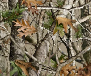 Next-Camo Vista hydrographics film swatch / pattern