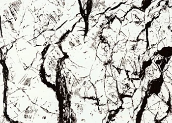 201 Black Vein